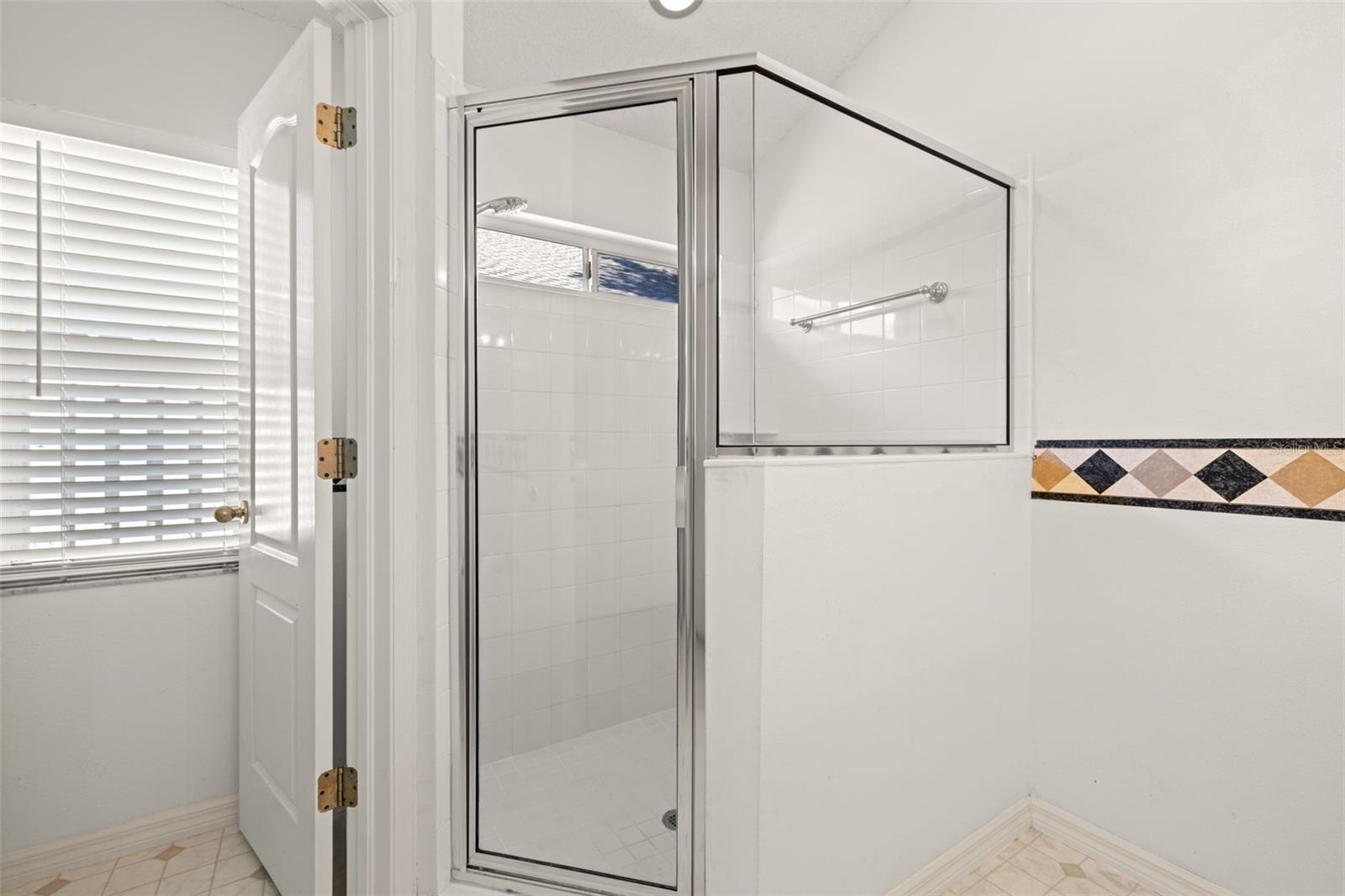 19505 MORDEN BLUSH DR, LUTZ, FL, 33558