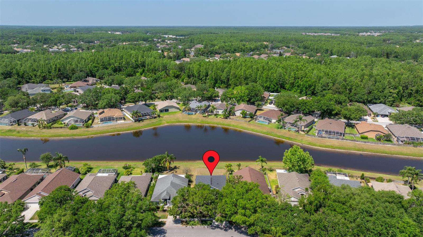 19505 MORDEN BLUSH DR, LUTZ, FL, 33558