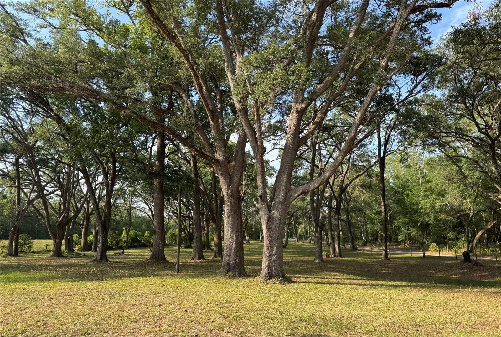 18901 BATES RD, SPRING HILL, FL, 34610