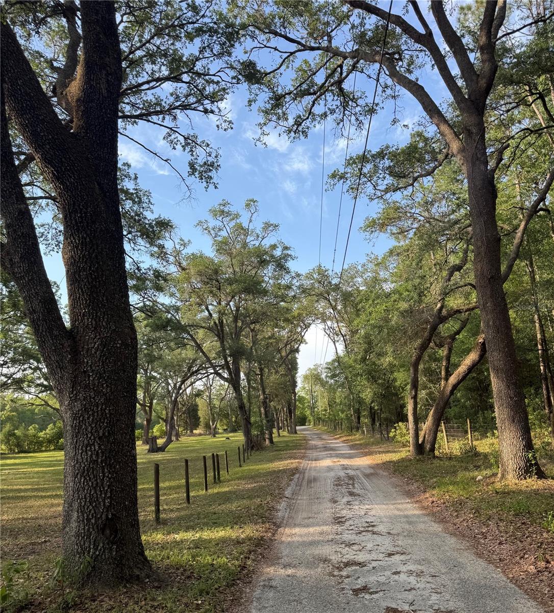 18901 BATES RD, SPRING HILL, FL, 34610