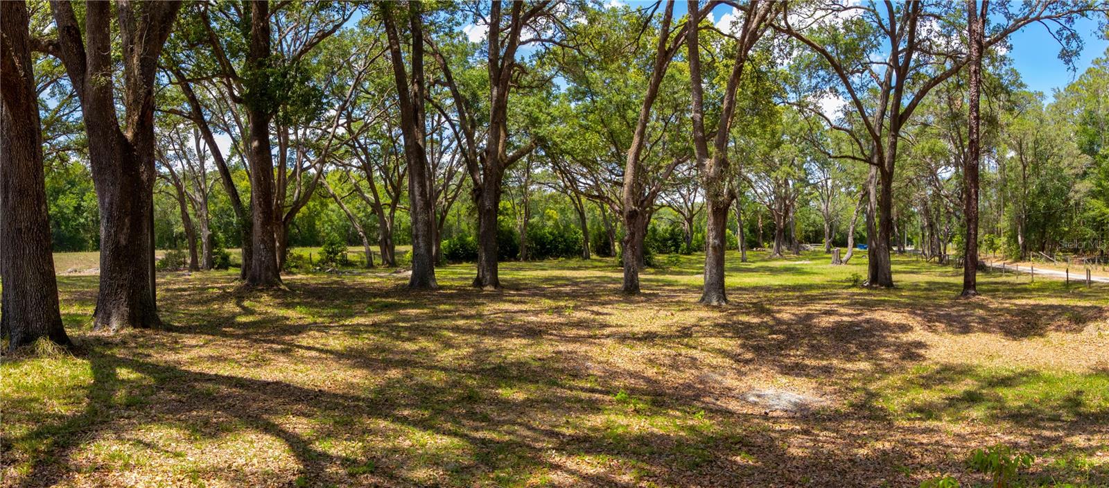 18901 BATES RD, SPRING HILL, FL, 34610