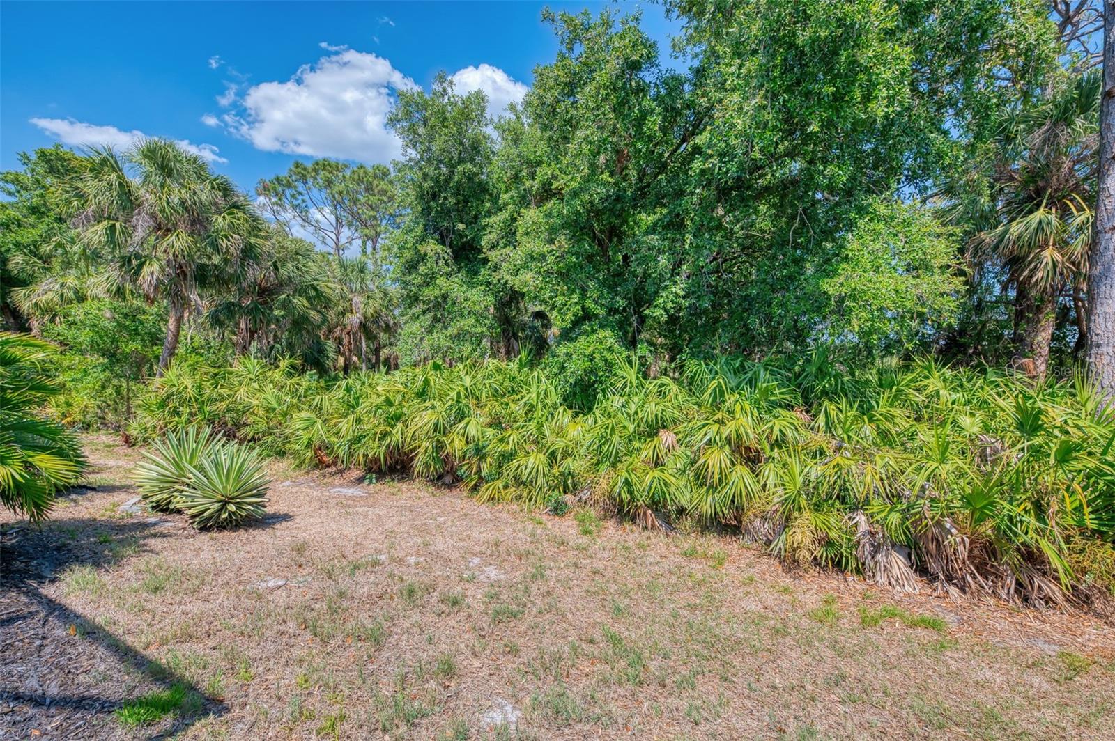 11186 BATELLO DR, VENICE, FL, 34292