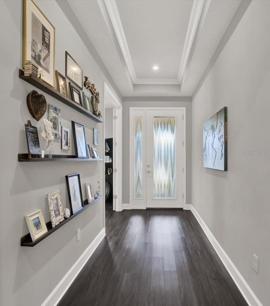 11743 LAKE LUCAYA DR, RIVERVIEW, FL, 33579