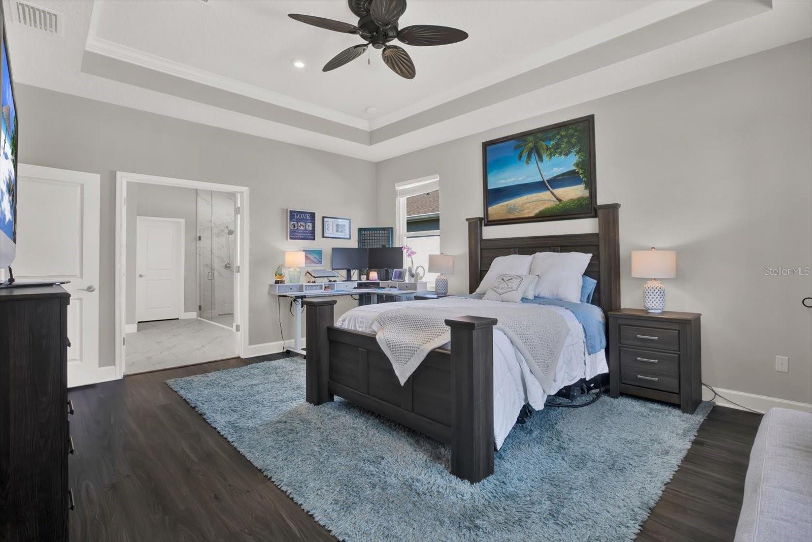 11743 LAKE LUCAYA DR, RIVERVIEW, FL, 33579