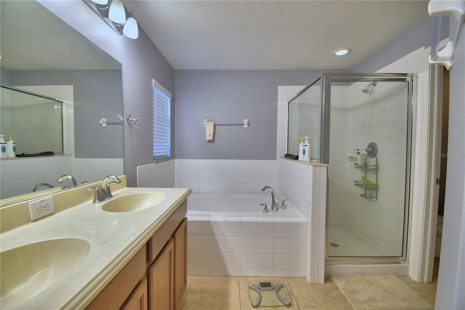 3684 MADBURY CIR, LAKELAND, FL, 33810