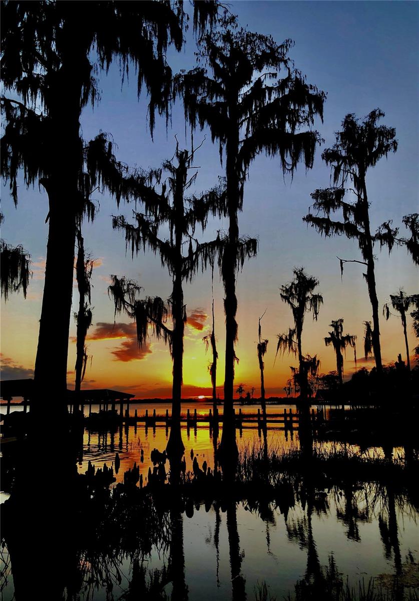 76 OAKDALE ST, WINDERMERE, FL, 34786