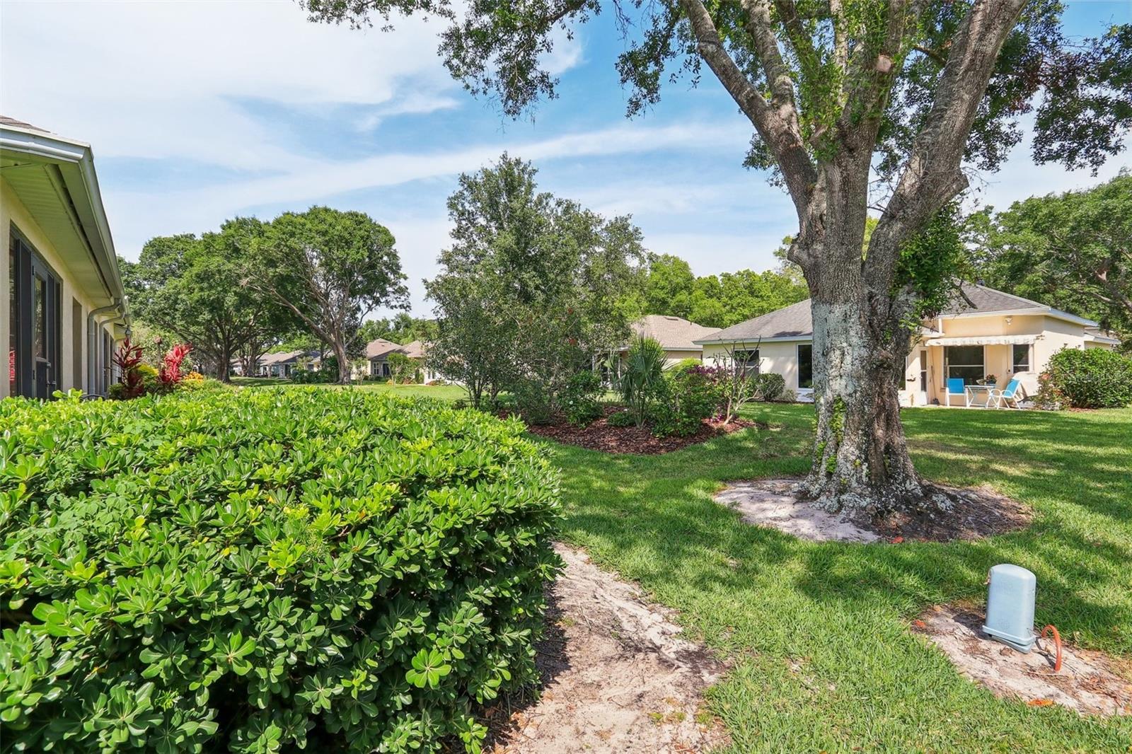 256 JUNIPER WAY, TAVARES, FL, 32778