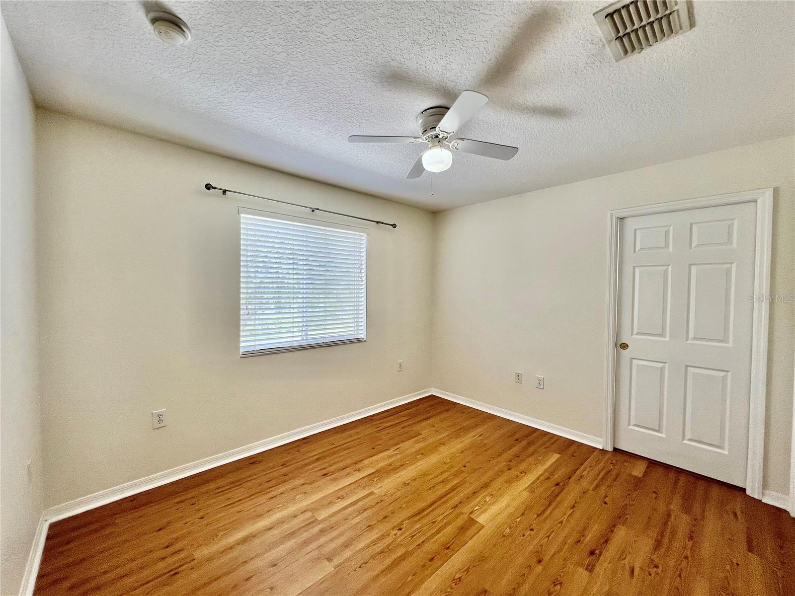 20464 NEEDLETREE DR, TAMPA, FL, 33647