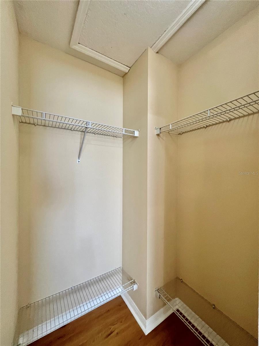 20464 NEEDLETREE DR, TAMPA, FL, 33647