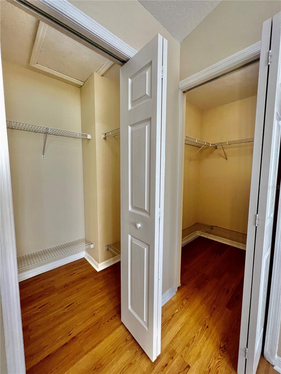 20464 NEEDLETREE DR, TAMPA, FL, 33647