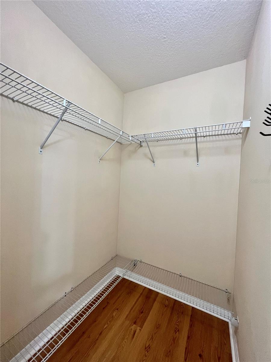 20464 NEEDLETREE DR, TAMPA, FL, 33647