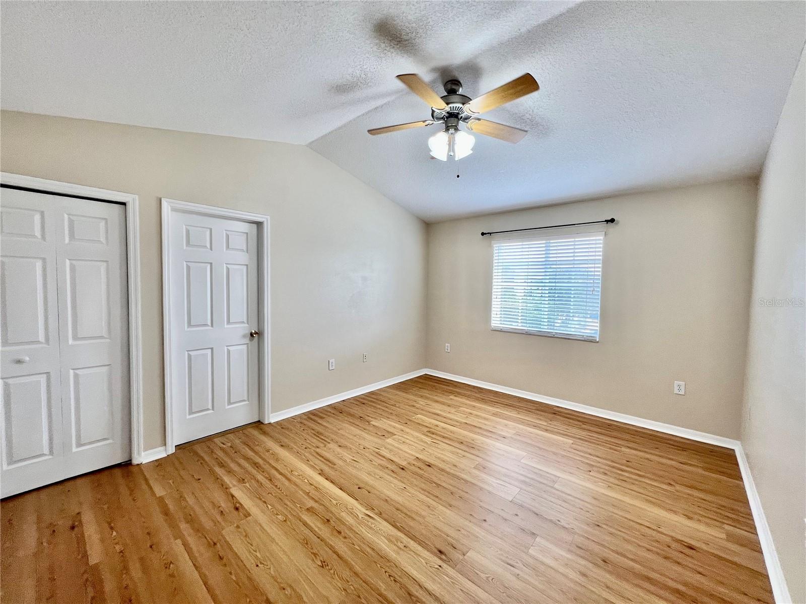 20464 NEEDLETREE DR, TAMPA, FL, 33647