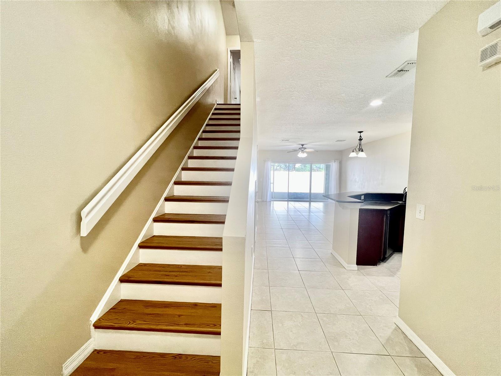 20464 NEEDLETREE DR, TAMPA, FL, 33647