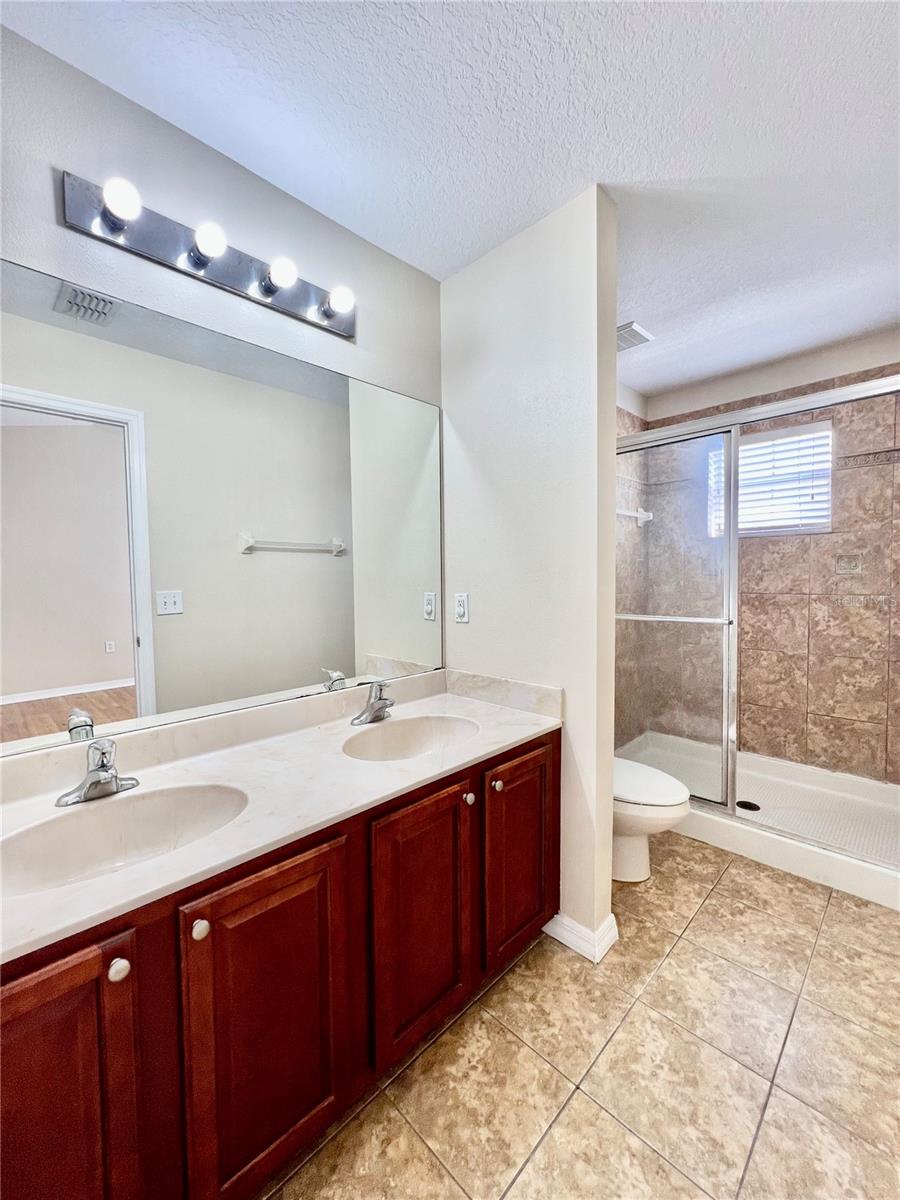 20464 NEEDLETREE DR, TAMPA, FL, 33647