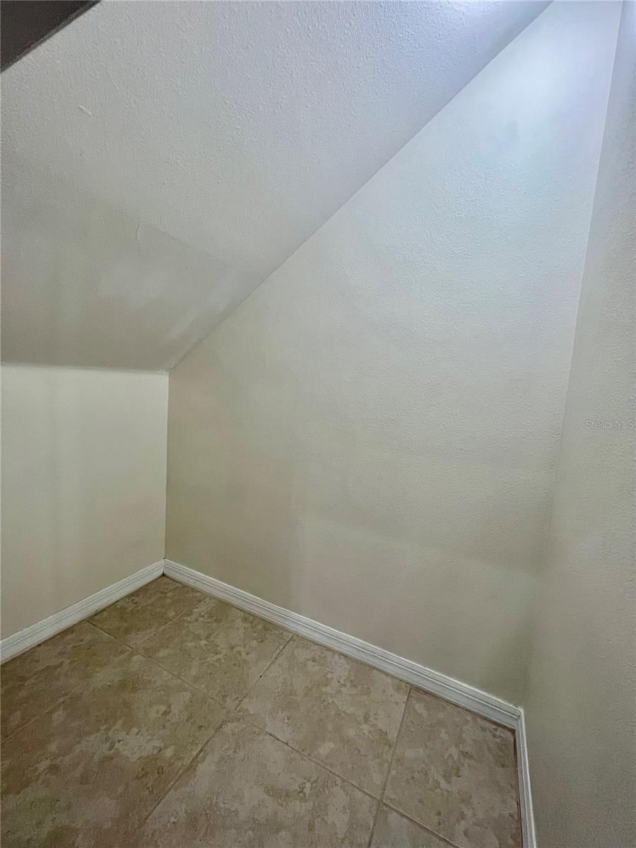 20464 NEEDLETREE DR, TAMPA, FL, 33647