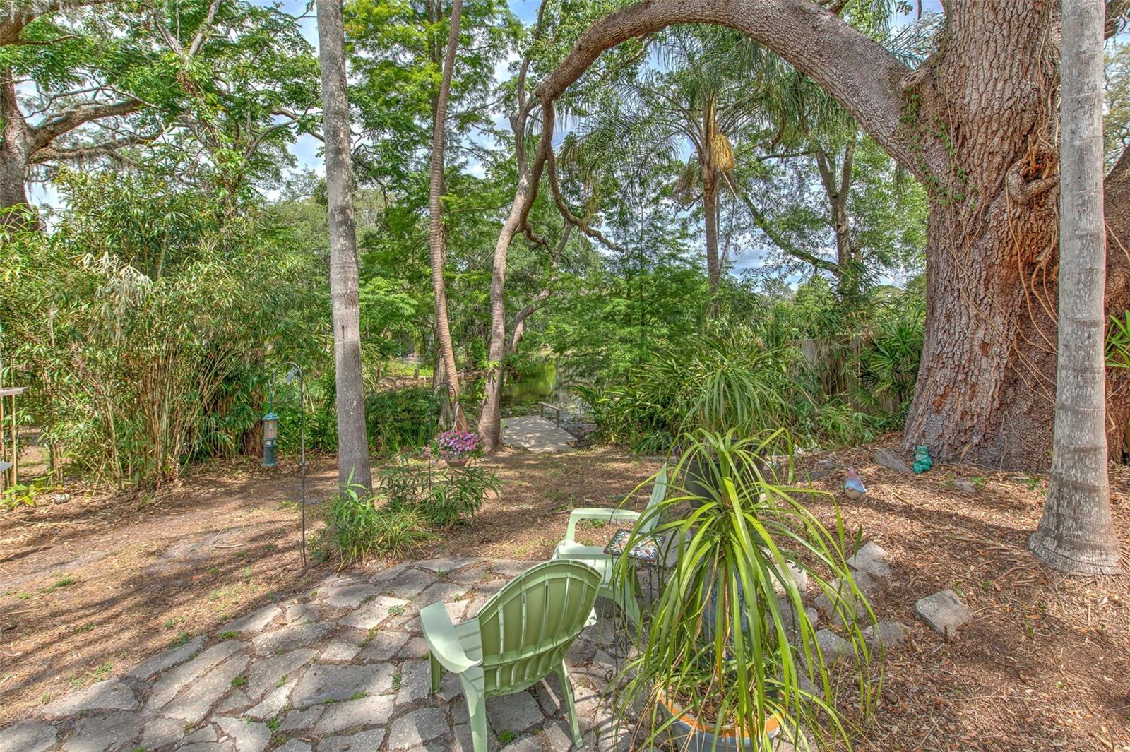 10119 CLIFF CIR, TAMPA, FL, 33612