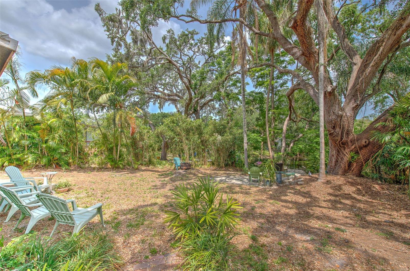 10119 CLIFF CIR, TAMPA, FL, 33612