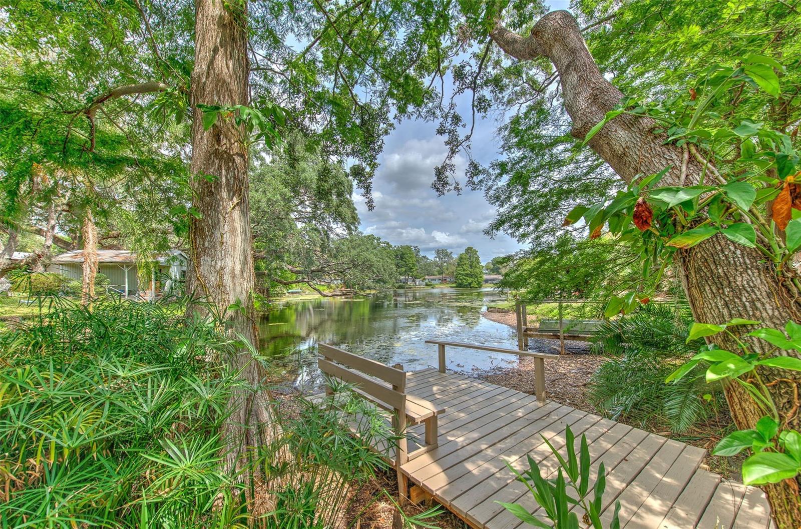 10119 CLIFF CIR, TAMPA, FL, 33612