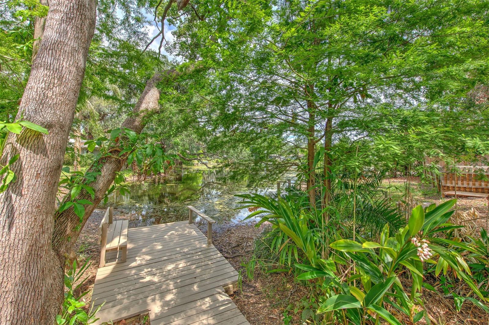 10119 CLIFF CIR, TAMPA, FL, 33612