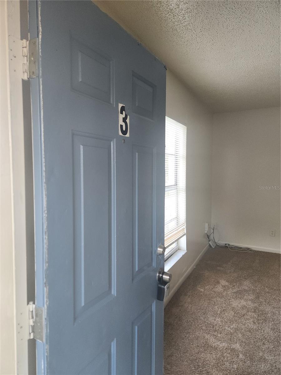 3919 E FERN ST #3, TAMPA, FL, 33610