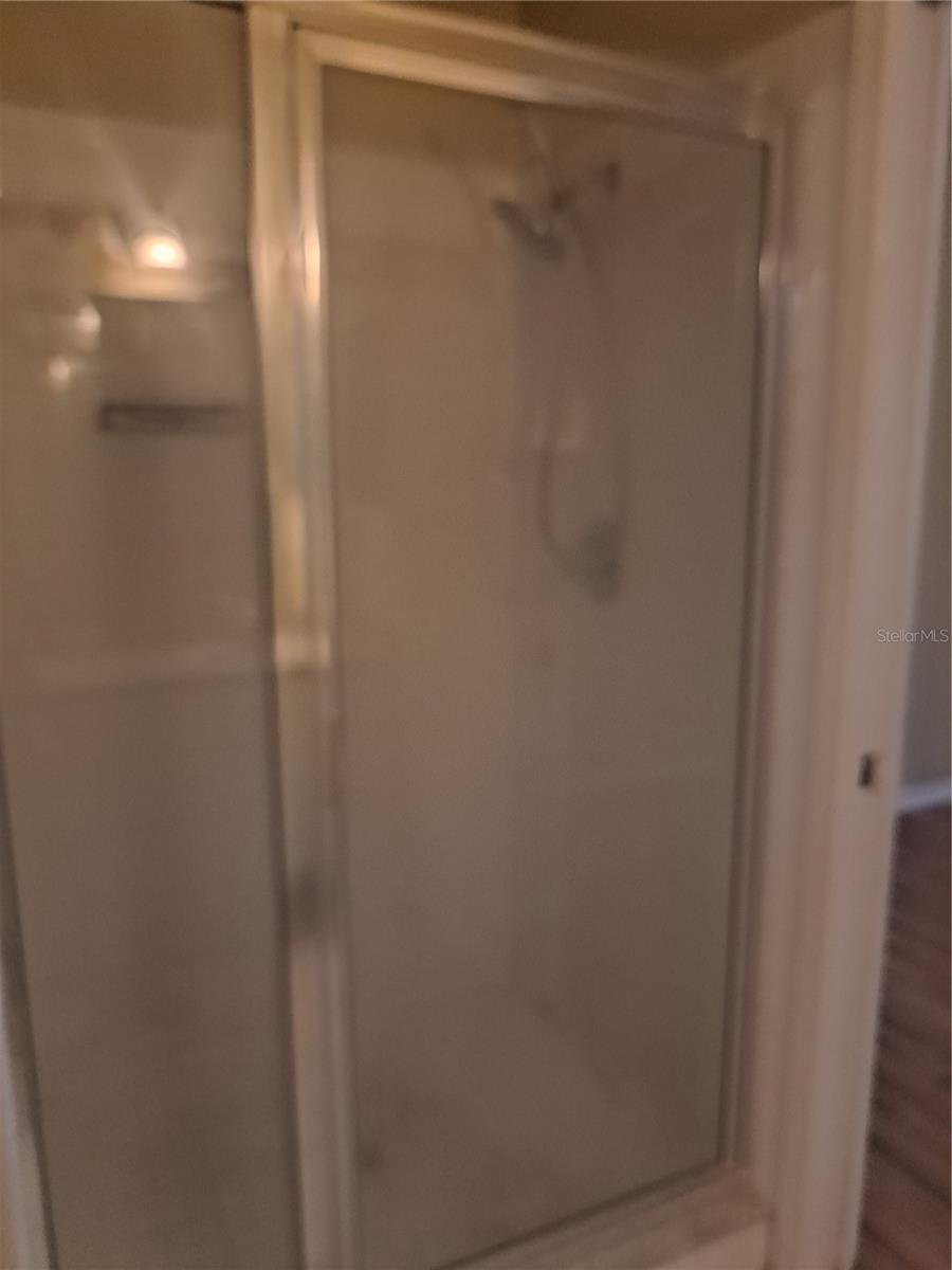 13231 CHERRY BARK CIR, RIVERVIEW, FL, 33579