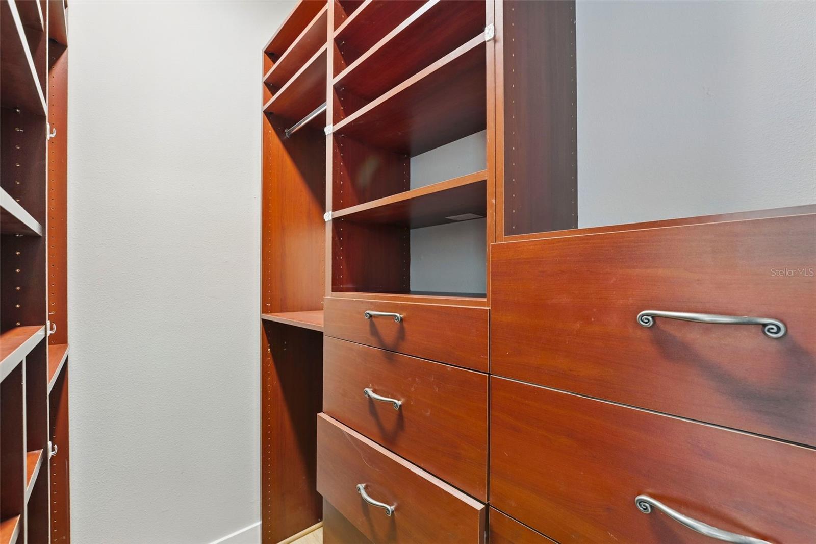 11508 DELWICK DR, WINDERMERE, FL, 34786