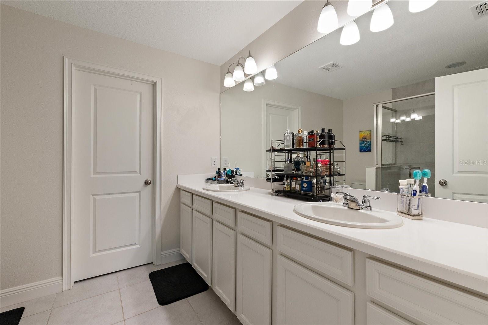 6225 SCARLET DARTER WAY, TAMPA, FL, 33625