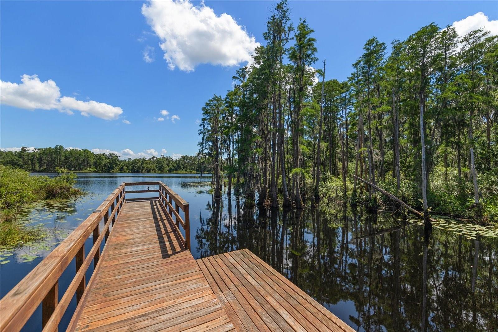 6225 SCARLET DARTER WAY, TAMPA, FL, 33625