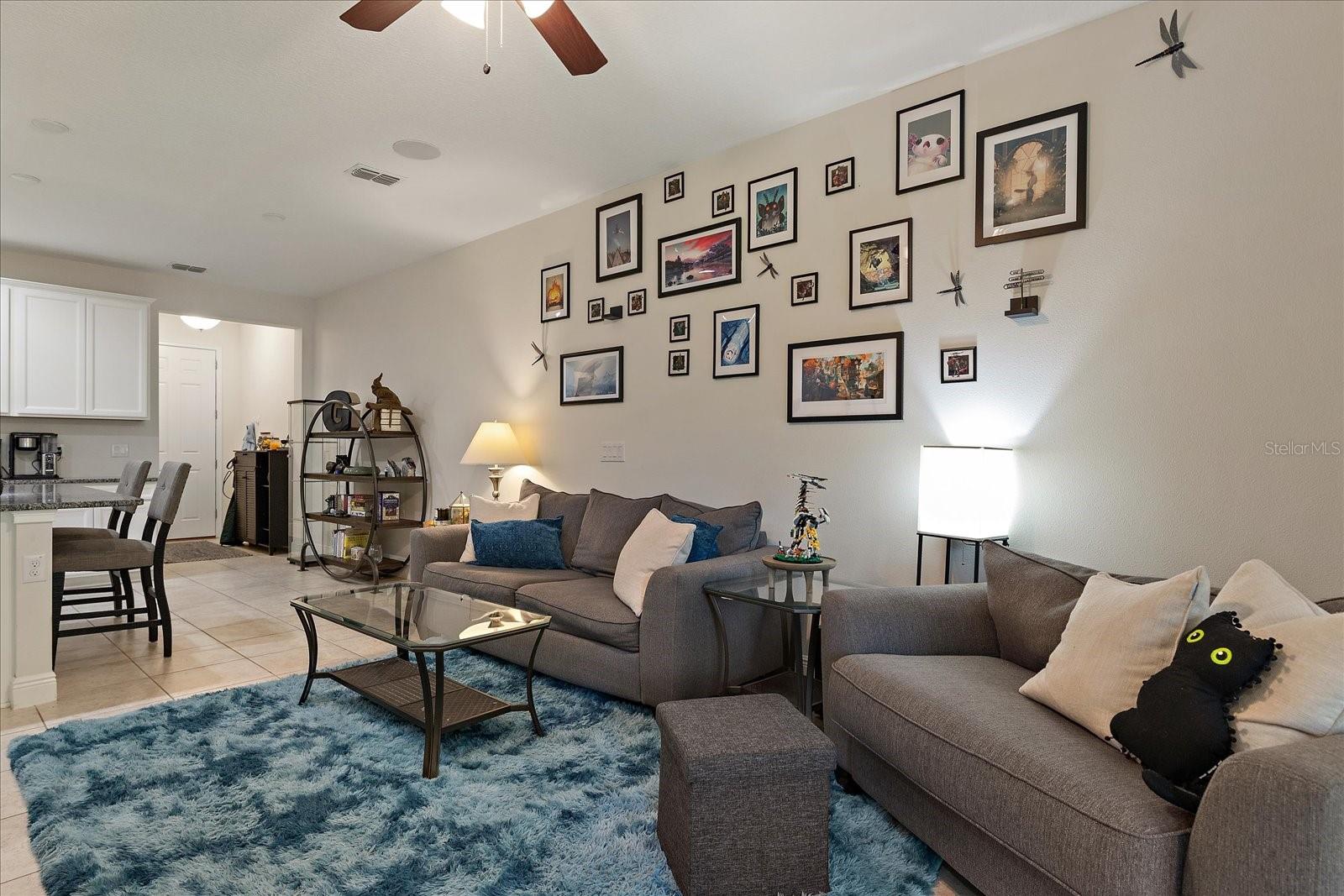 6225 SCARLET DARTER WAY, TAMPA, FL, 33625