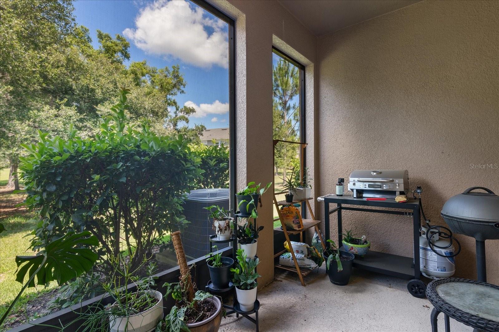 6225 SCARLET DARTER WAY, TAMPA, FL, 33625