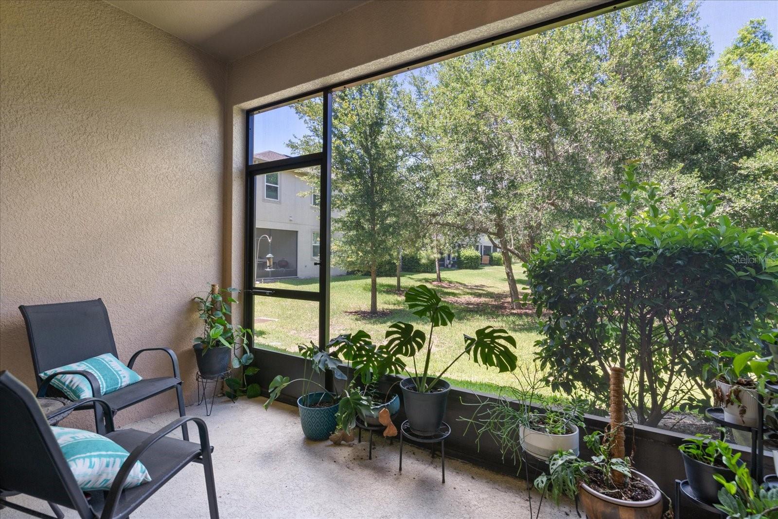 6225 SCARLET DARTER WAY, TAMPA, FL, 33625