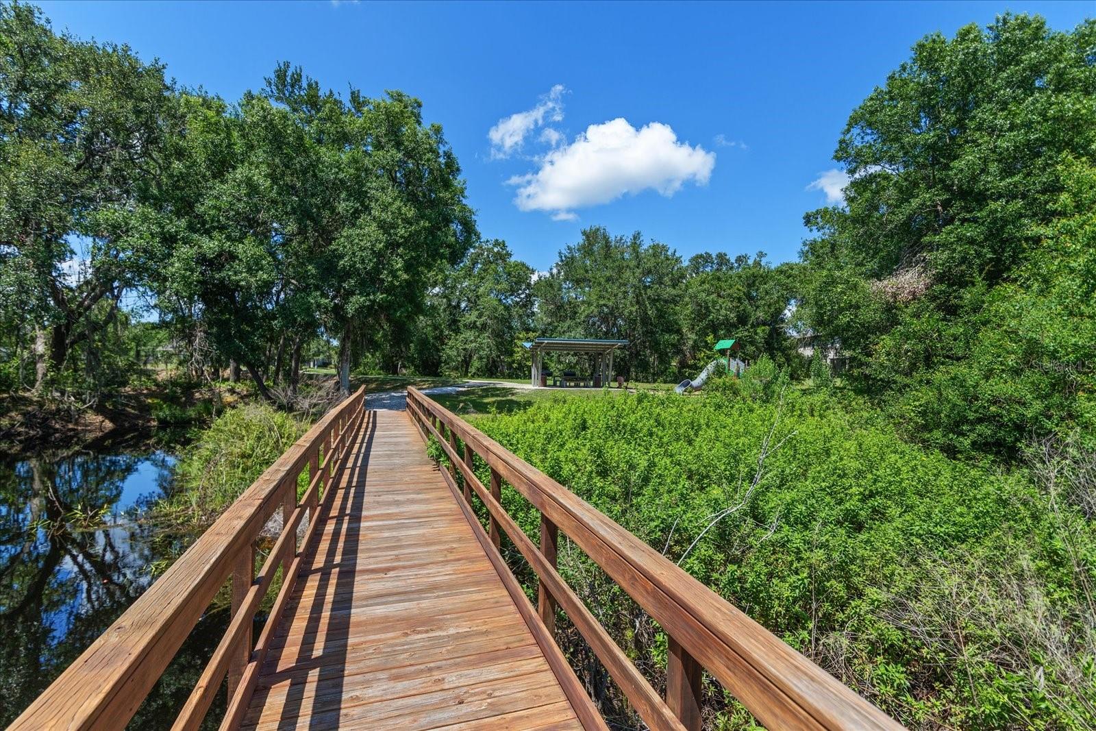 6225 SCARLET DARTER WAY, TAMPA, FL, 33625