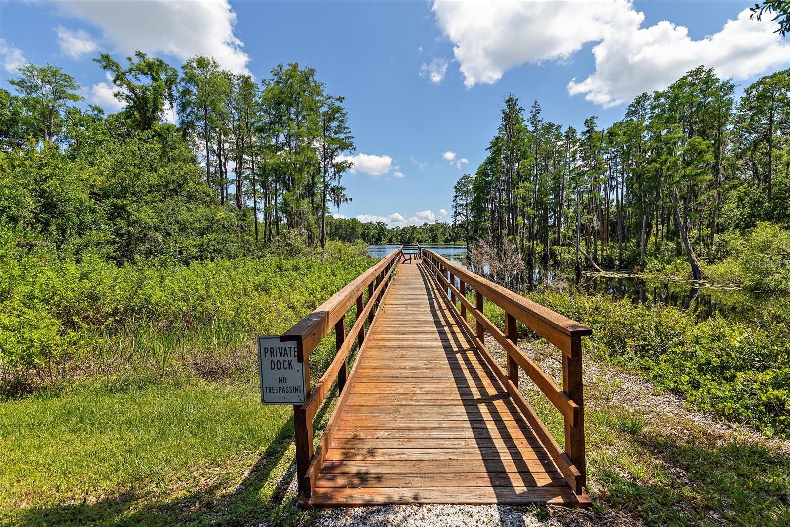 6225 SCARLET DARTER WAY, TAMPA, FL, 33625