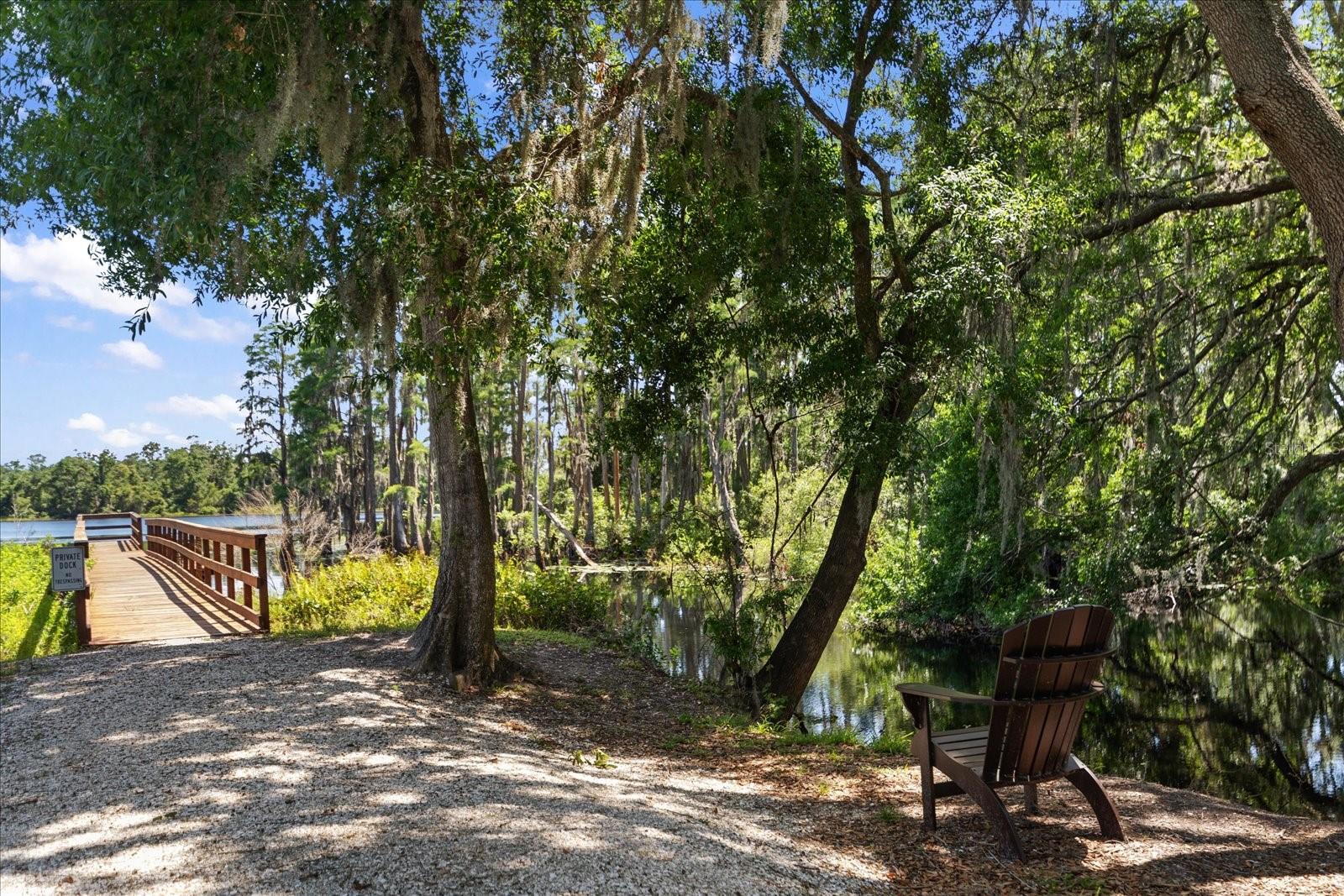 6225 SCARLET DARTER WAY, TAMPA, FL, 33625