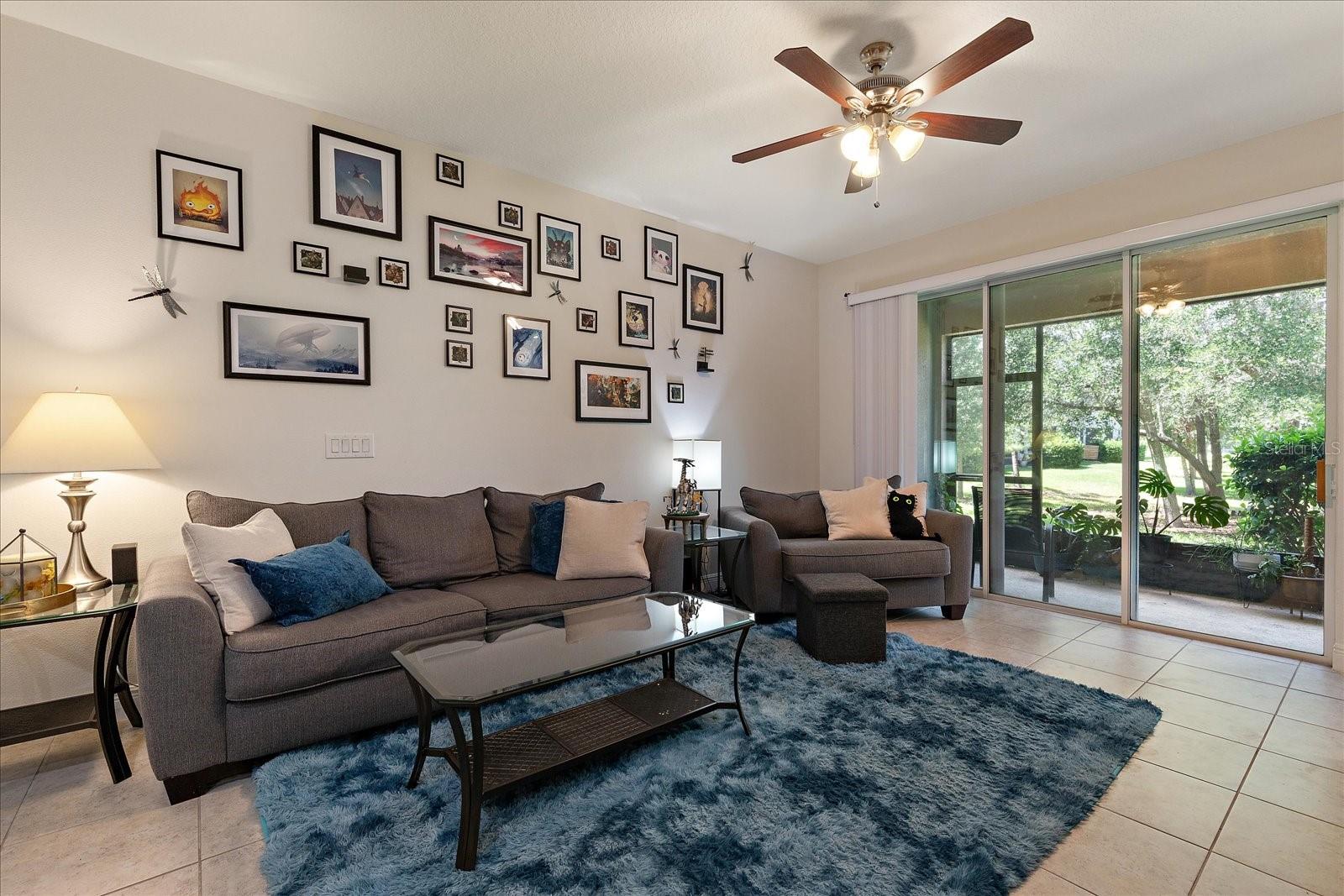 6225 SCARLET DARTER WAY, TAMPA, FL, 33625