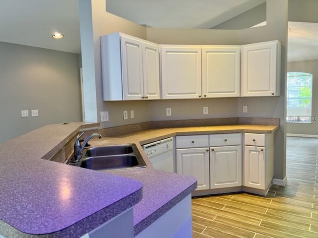 24842 SIENA DR, LUTZ, FL, 33559