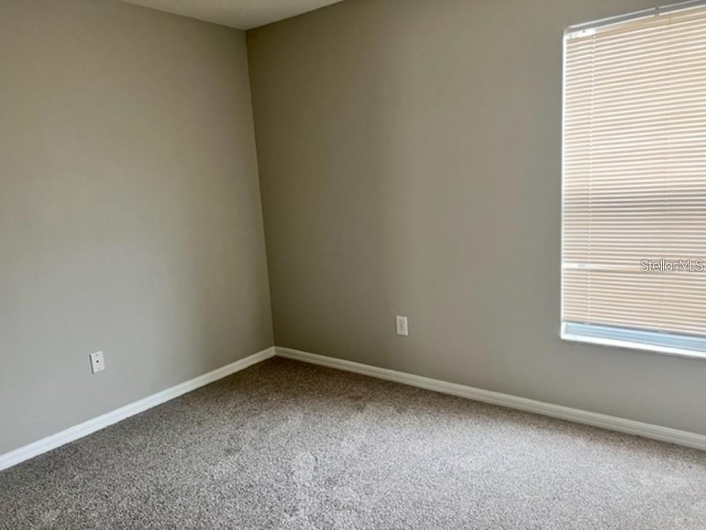 24842 SIENA DR, LUTZ, FL, 33559