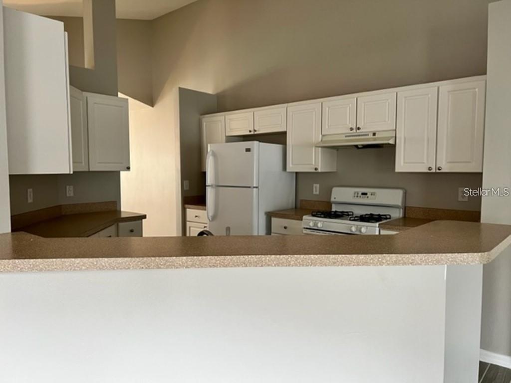 24842 SIENA DR, LUTZ, FL, 33559