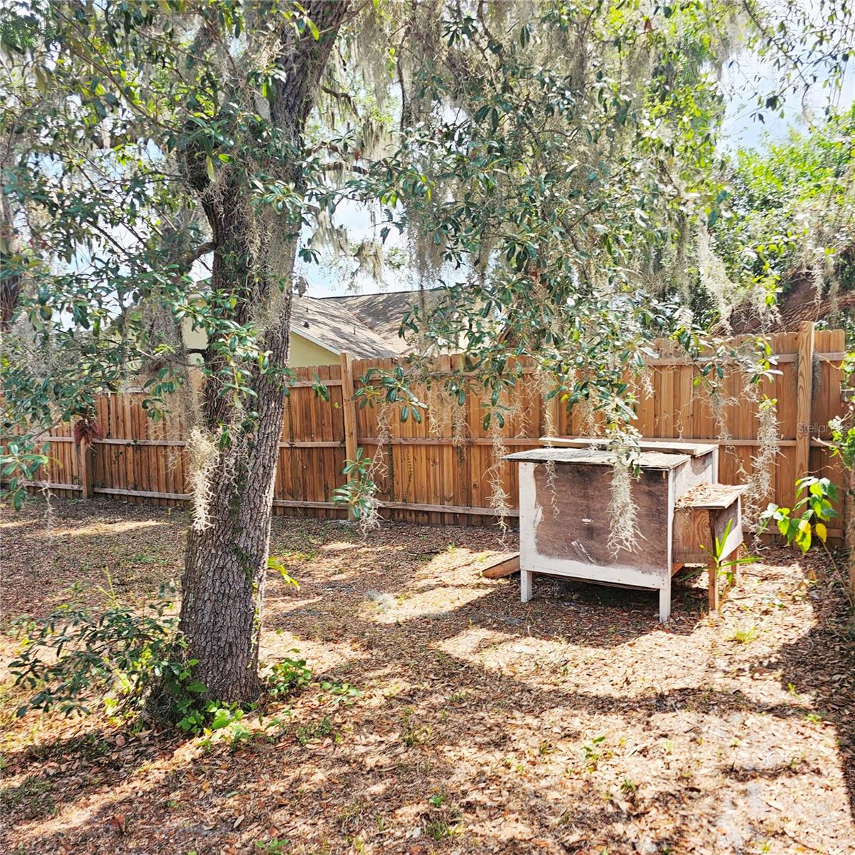 513 RACHAEL CT, OVIEDO, FL, 32765