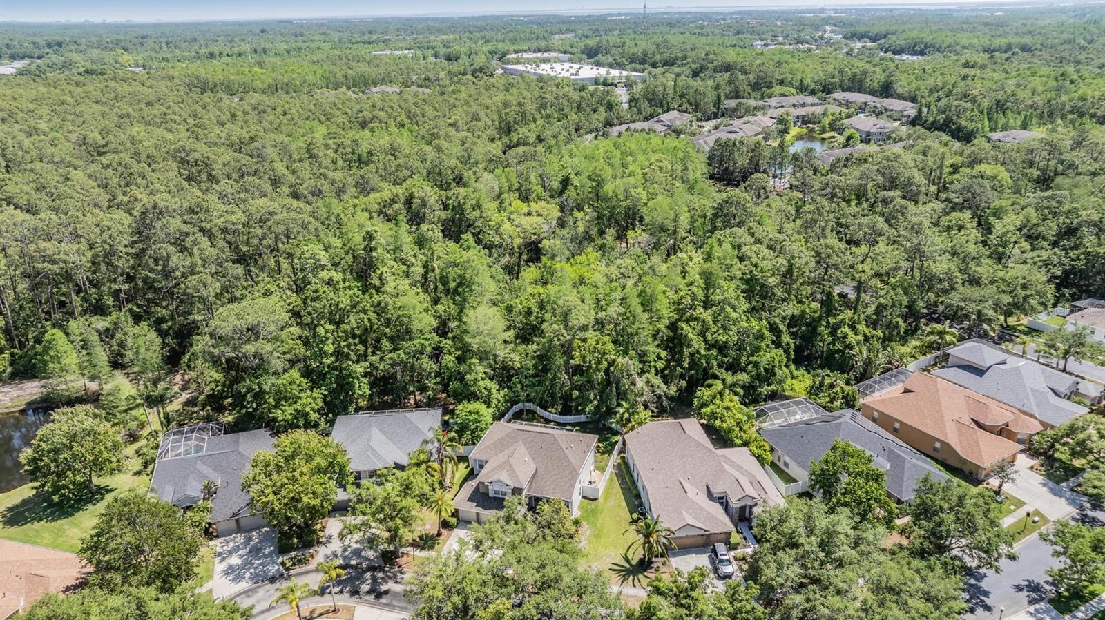 12712 STANWYCK CIR, TAMPA, FL, 33626