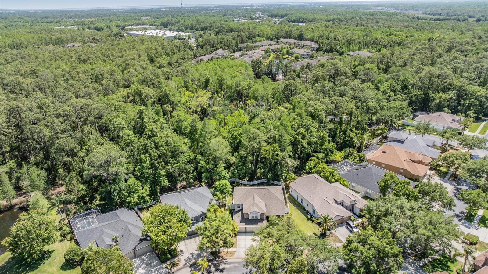 12712 STANWYCK CIR, TAMPA, FL, 33626