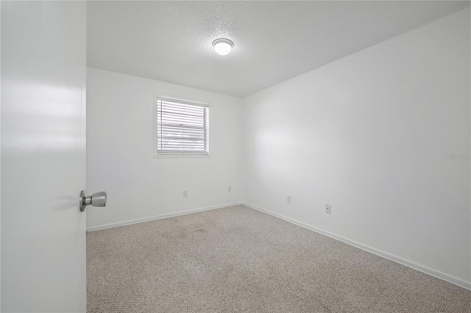 8402 WOODLAKE DR, TAMPA, FL, 33615