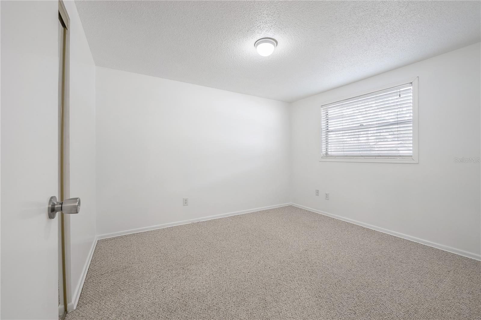 8402 WOODLAKE DR, TAMPA, FL, 33615