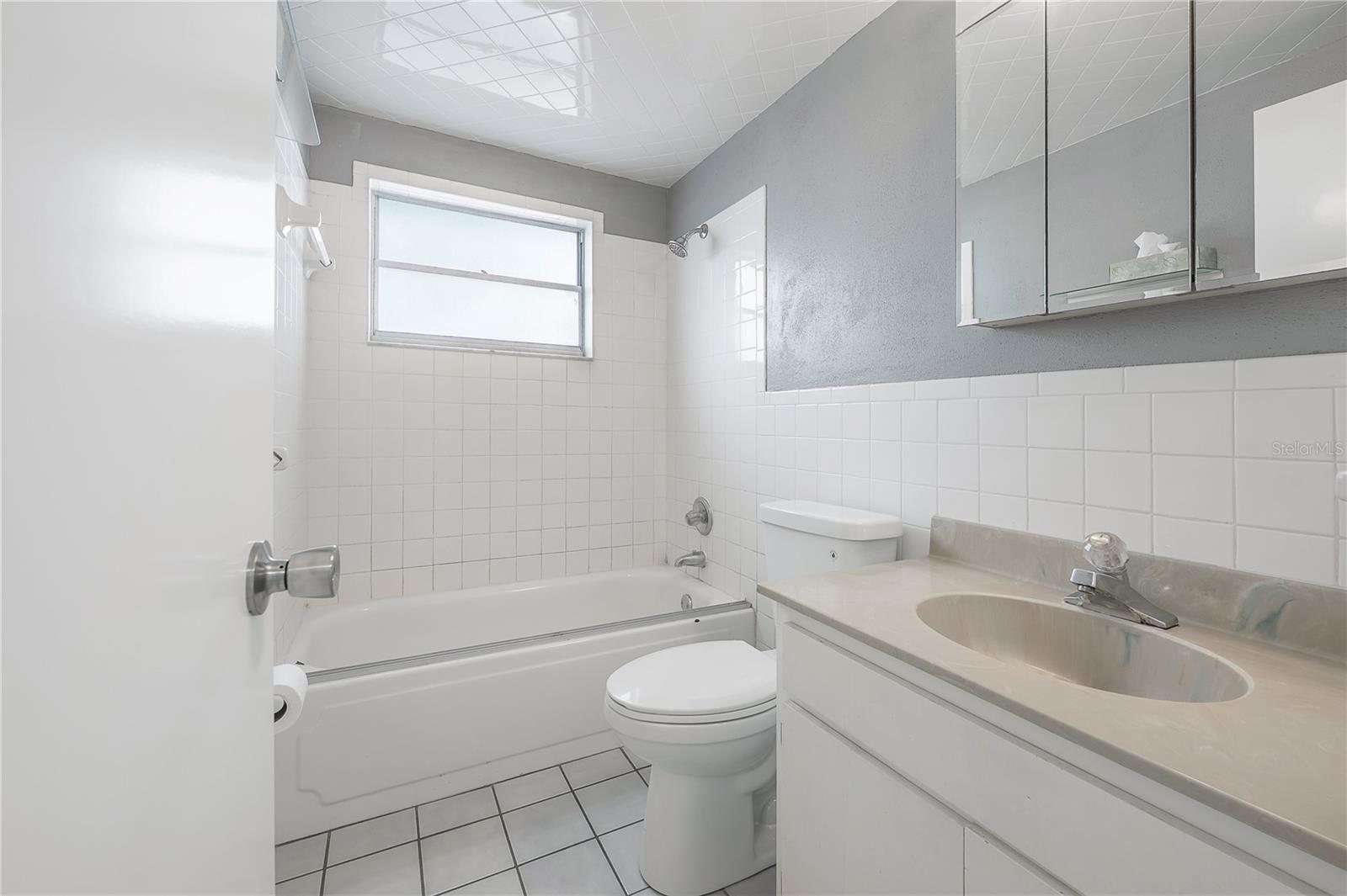 8402 WOODLAKE DR, TAMPA, FL, 33615