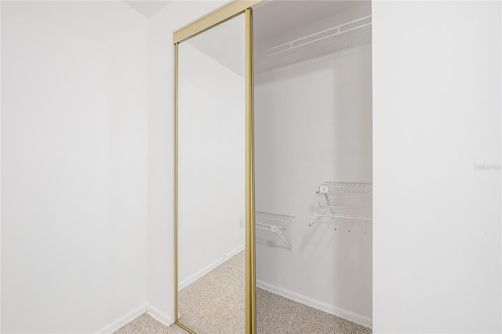 8402 WOODLAKE DR, TAMPA, FL, 33615