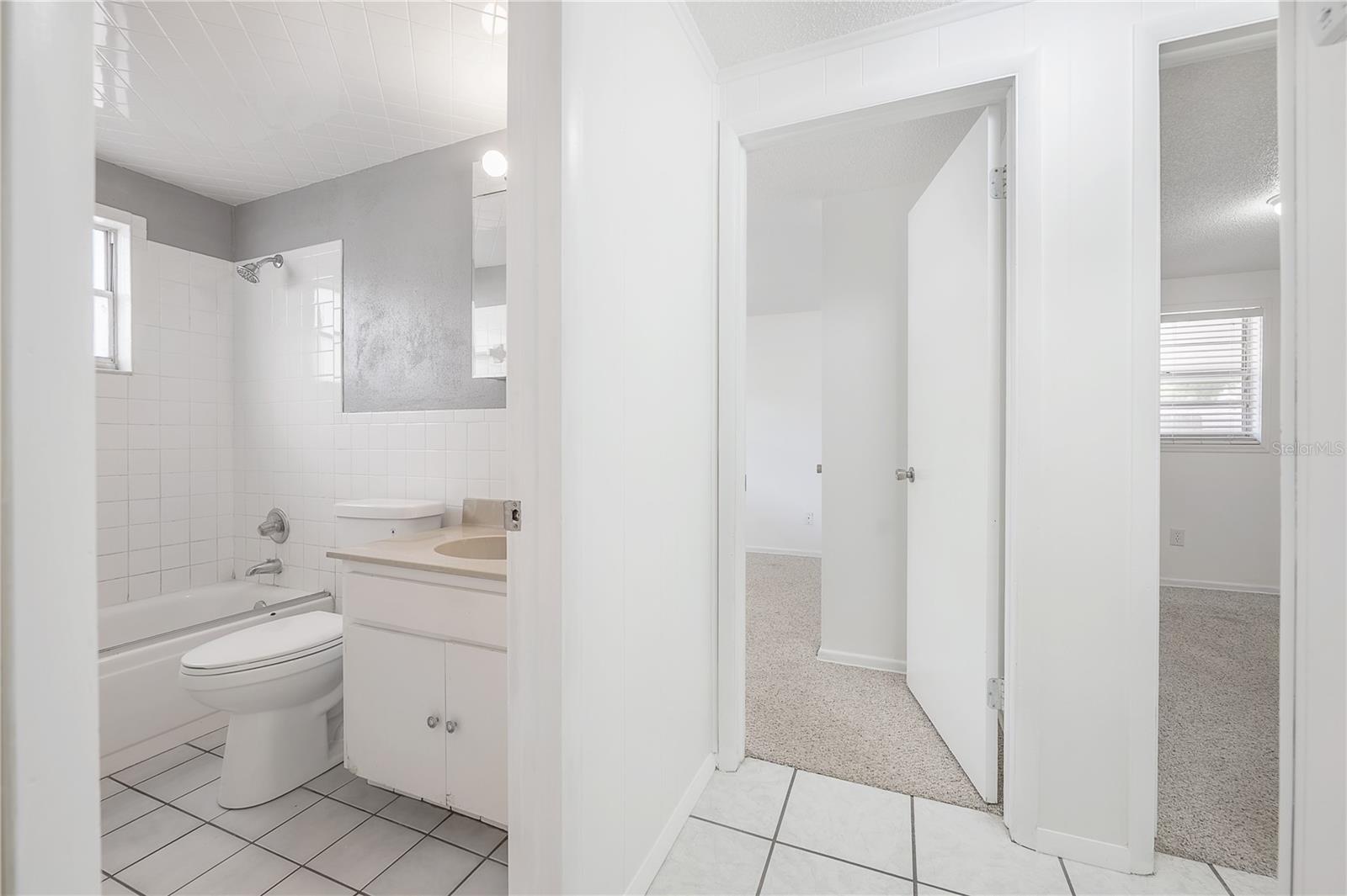 8402 WOODLAKE DR, TAMPA, FL, 33615