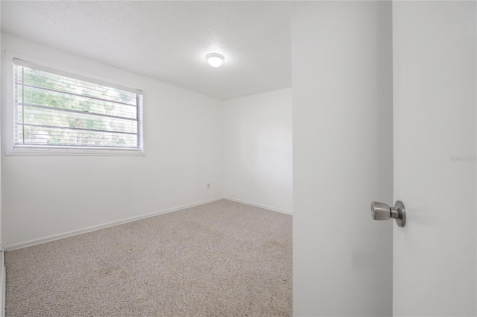 8402 WOODLAKE DR, TAMPA, FL, 33615