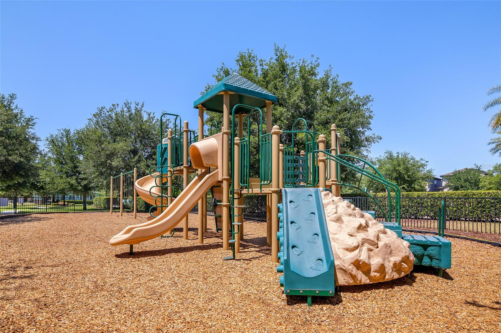 14131 LAKEVIEW PARK RD, WINTER GARDEN, FL, 34787