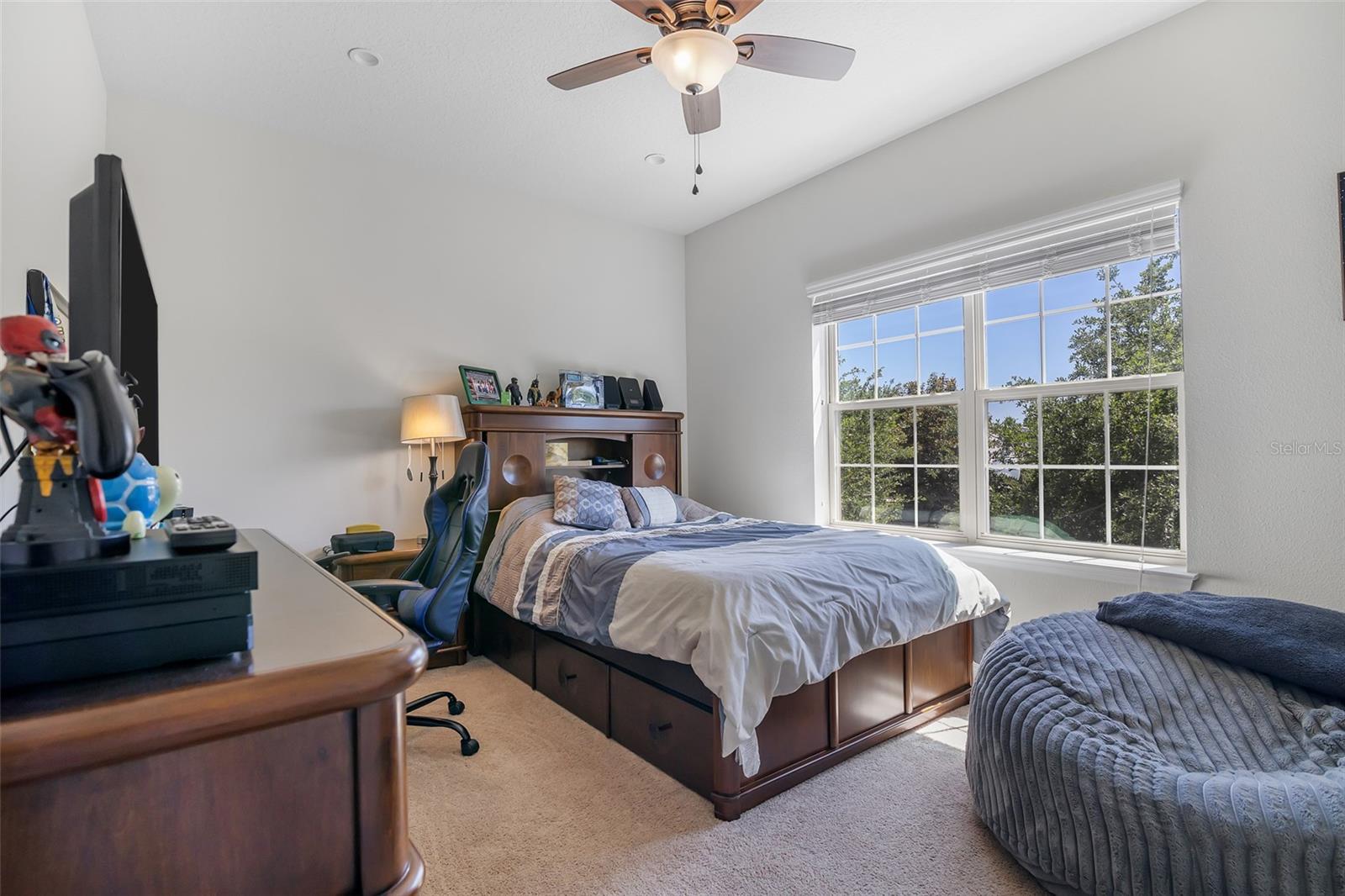 14131 LAKEVIEW PARK RD, WINTER GARDEN, FL, 34787