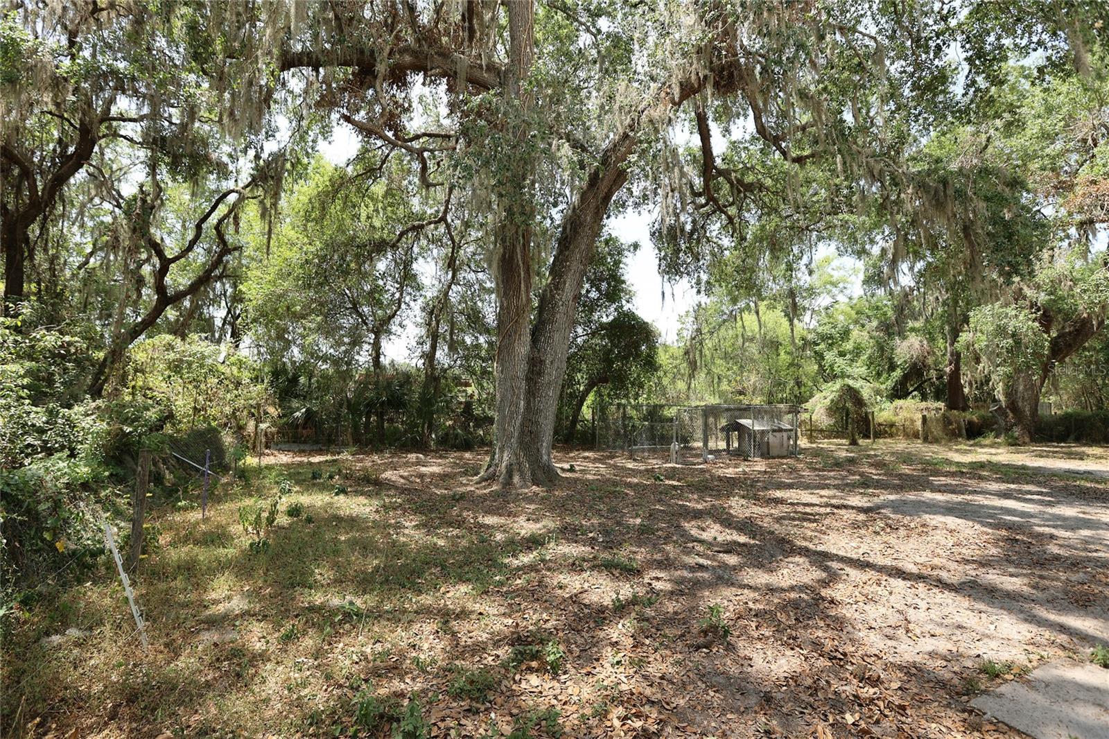 2619 BERDETTA ST, LEESBURG, FL, 34748